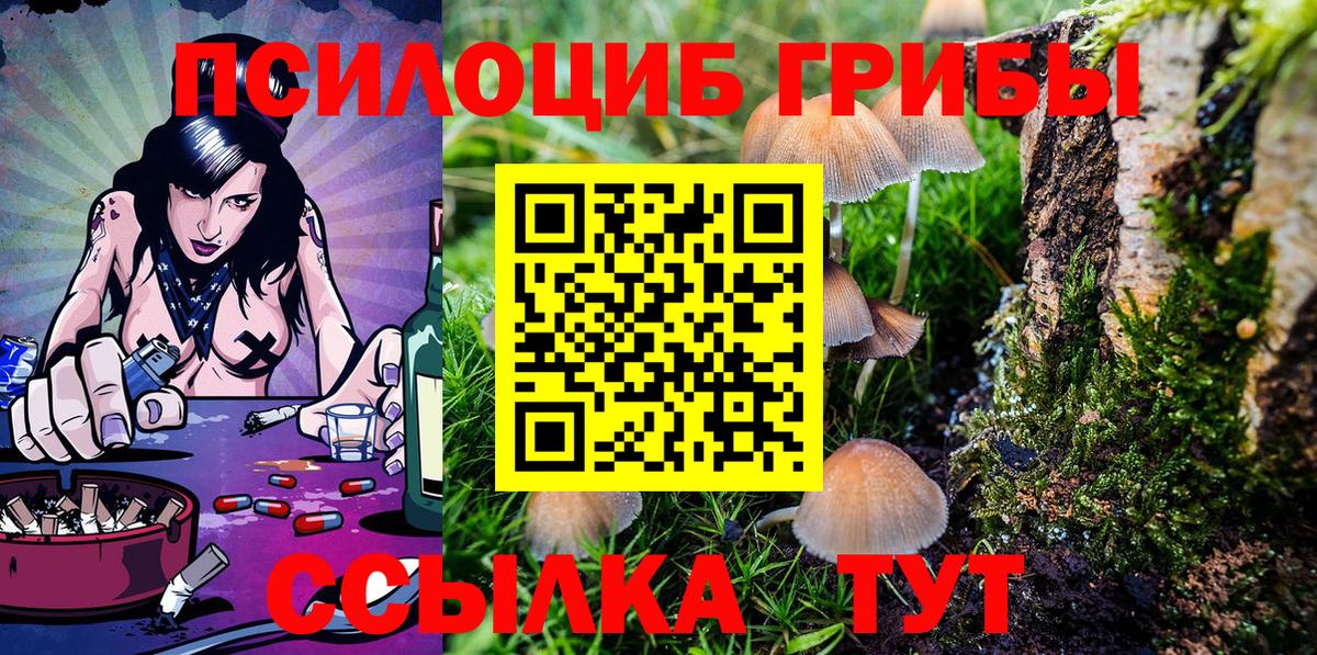 Псилоцибиновые грибы Magic Shrooms Реутов