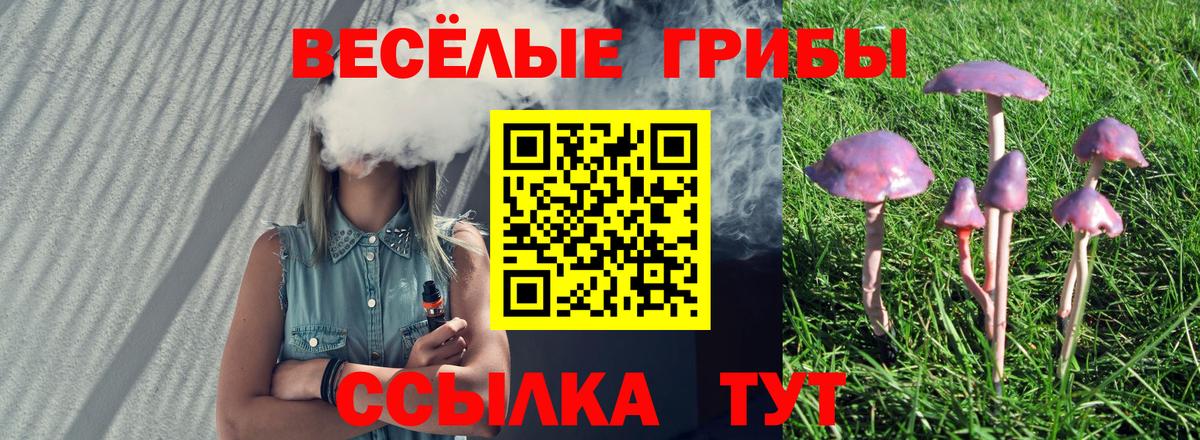 Псилоцибиновые грибы прущие грибы  Псилоцибиновые грибы Cubensis  Вход с VPN  Реутов 