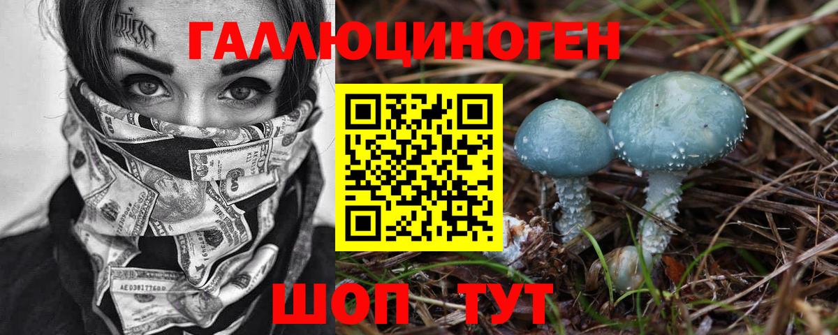 Псилоцибиновые грибы Psilocybe  Реутов  Псилоцибиновые грибы мухоморы 
